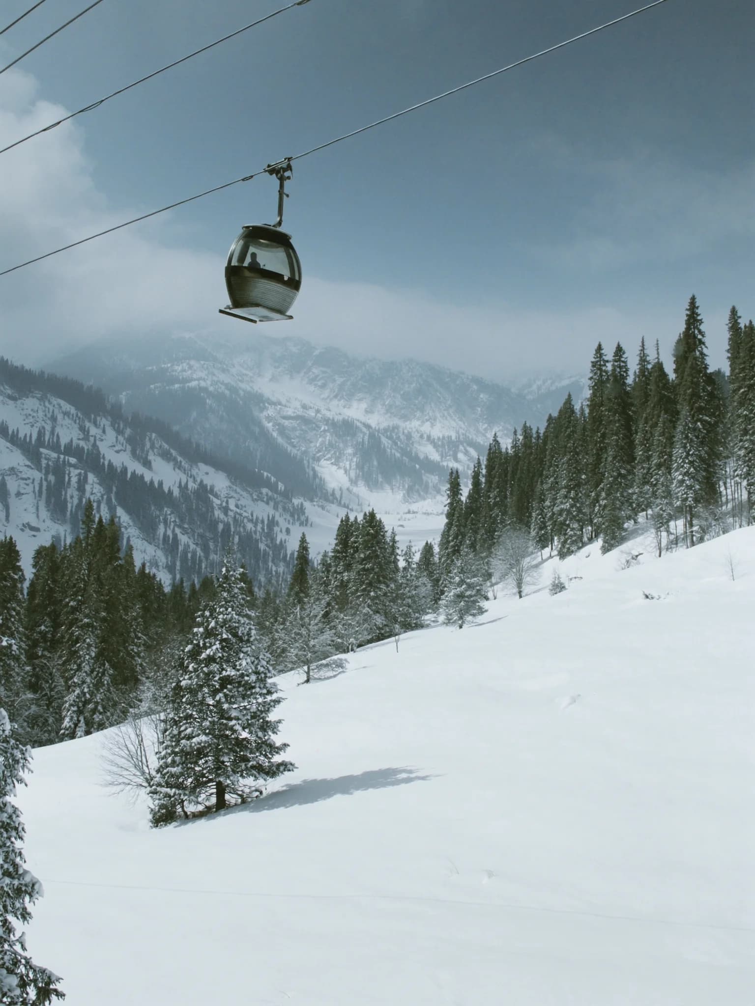 Gulmarg Snow Retreat